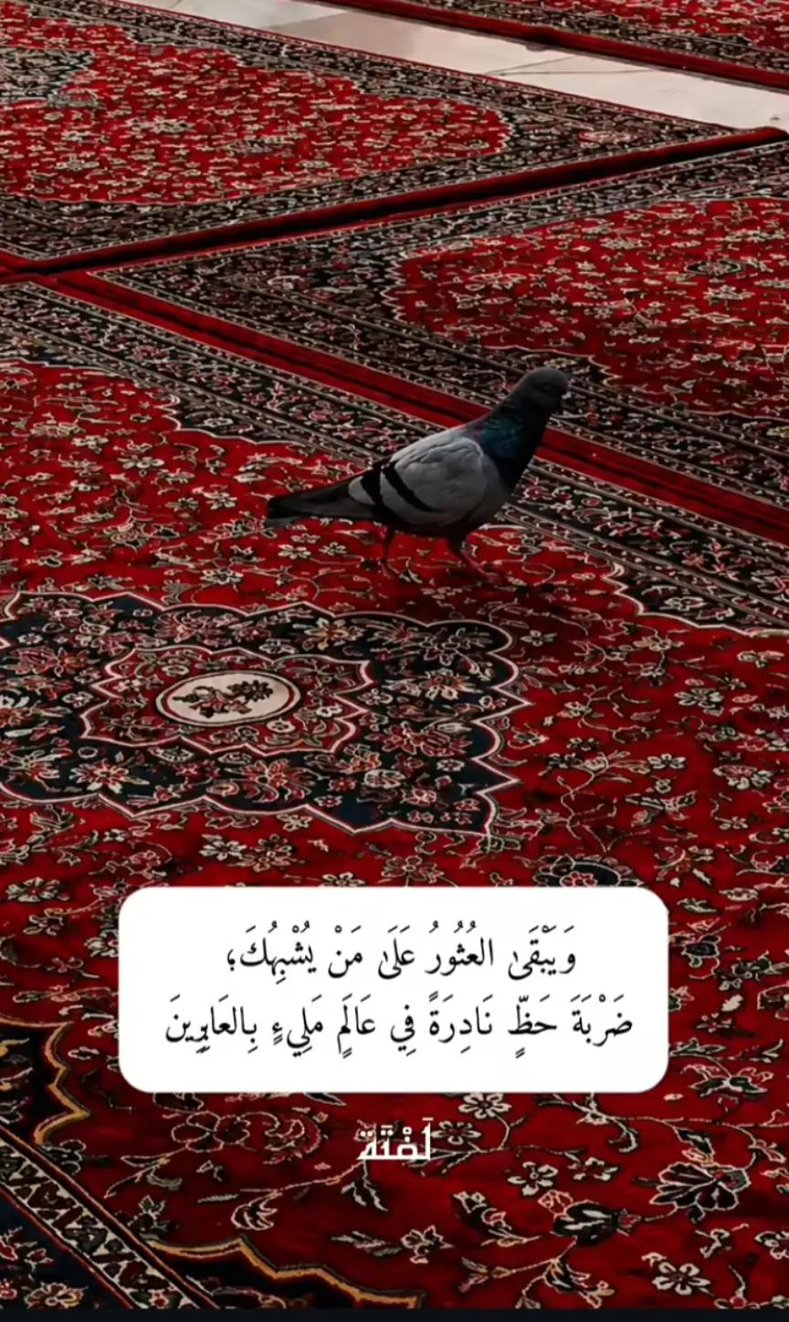 @Aziza@ام حمزة💌