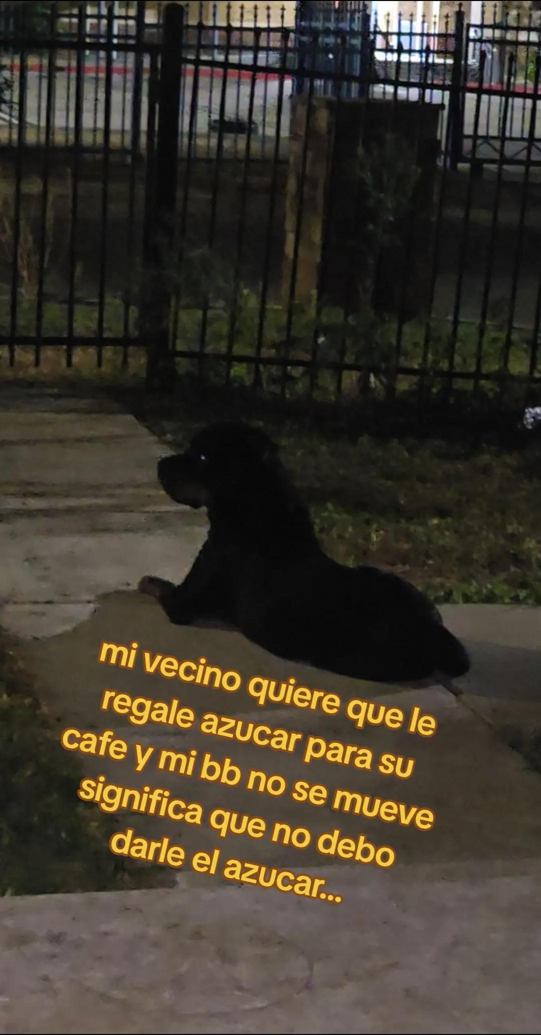 @Nathaly