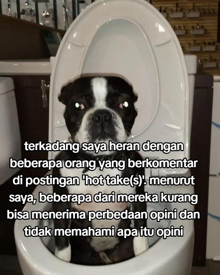 @Minnie