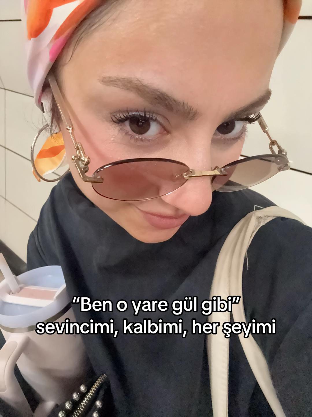 @sevilay
