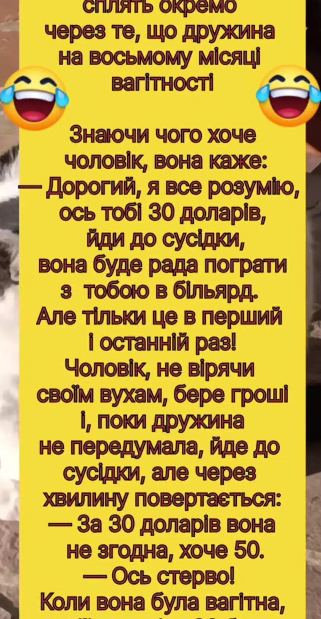 @Мария Ореховская