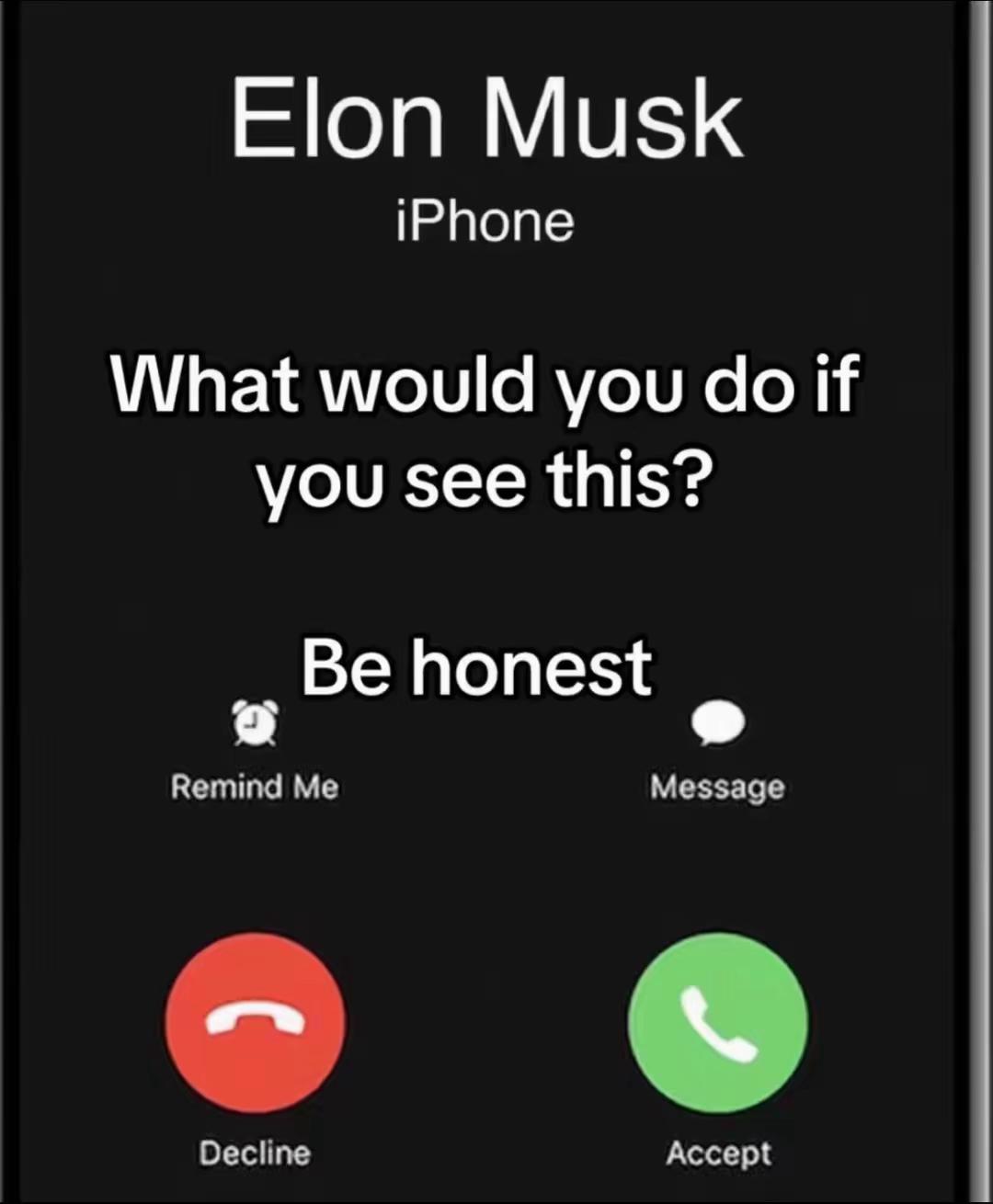 @Elon Musk