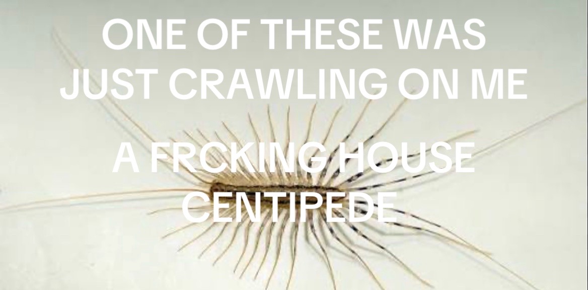 @༺༒ᦔꪖꪗ༒༻