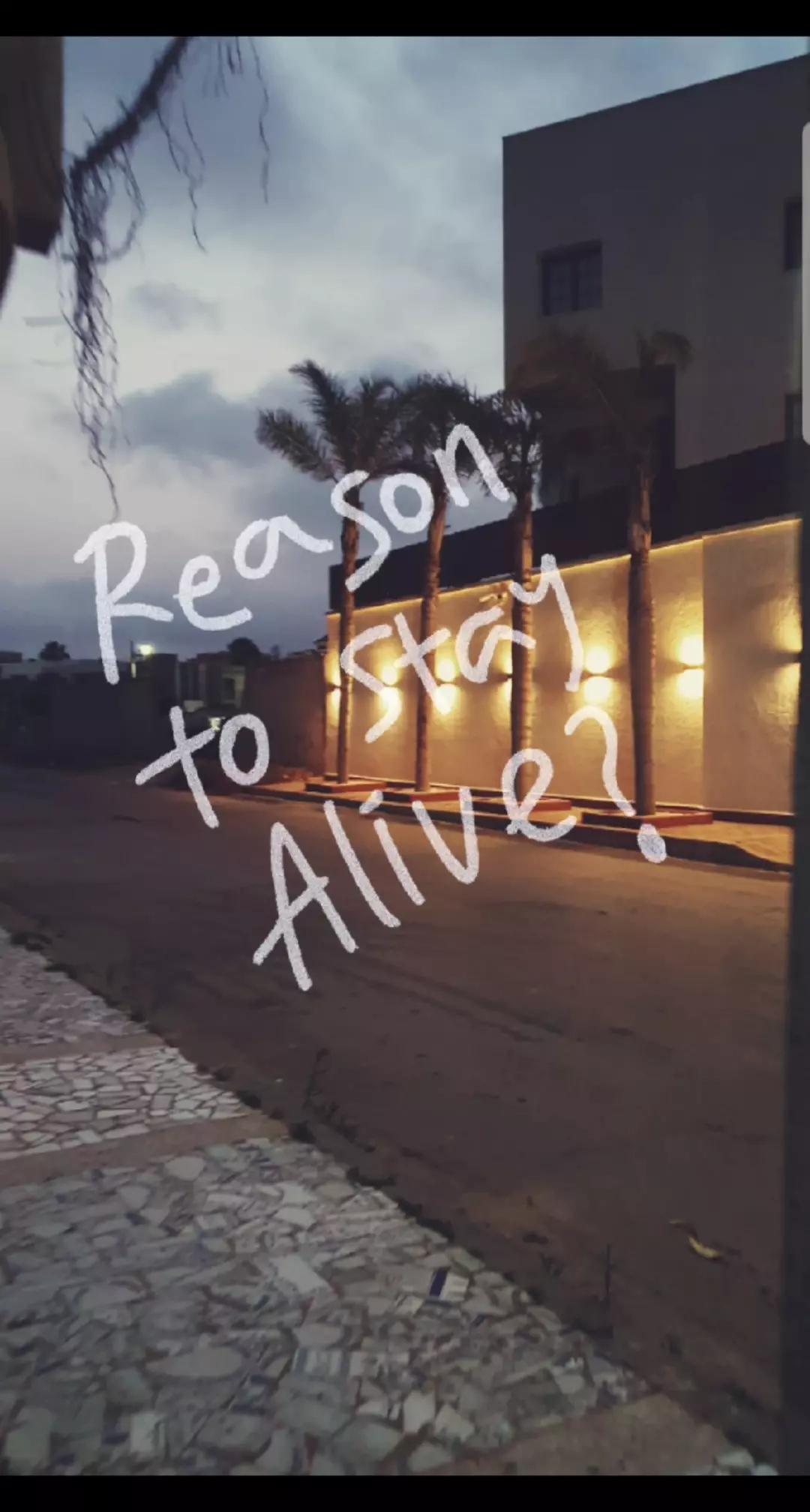 @ALTR🍉 𖣂