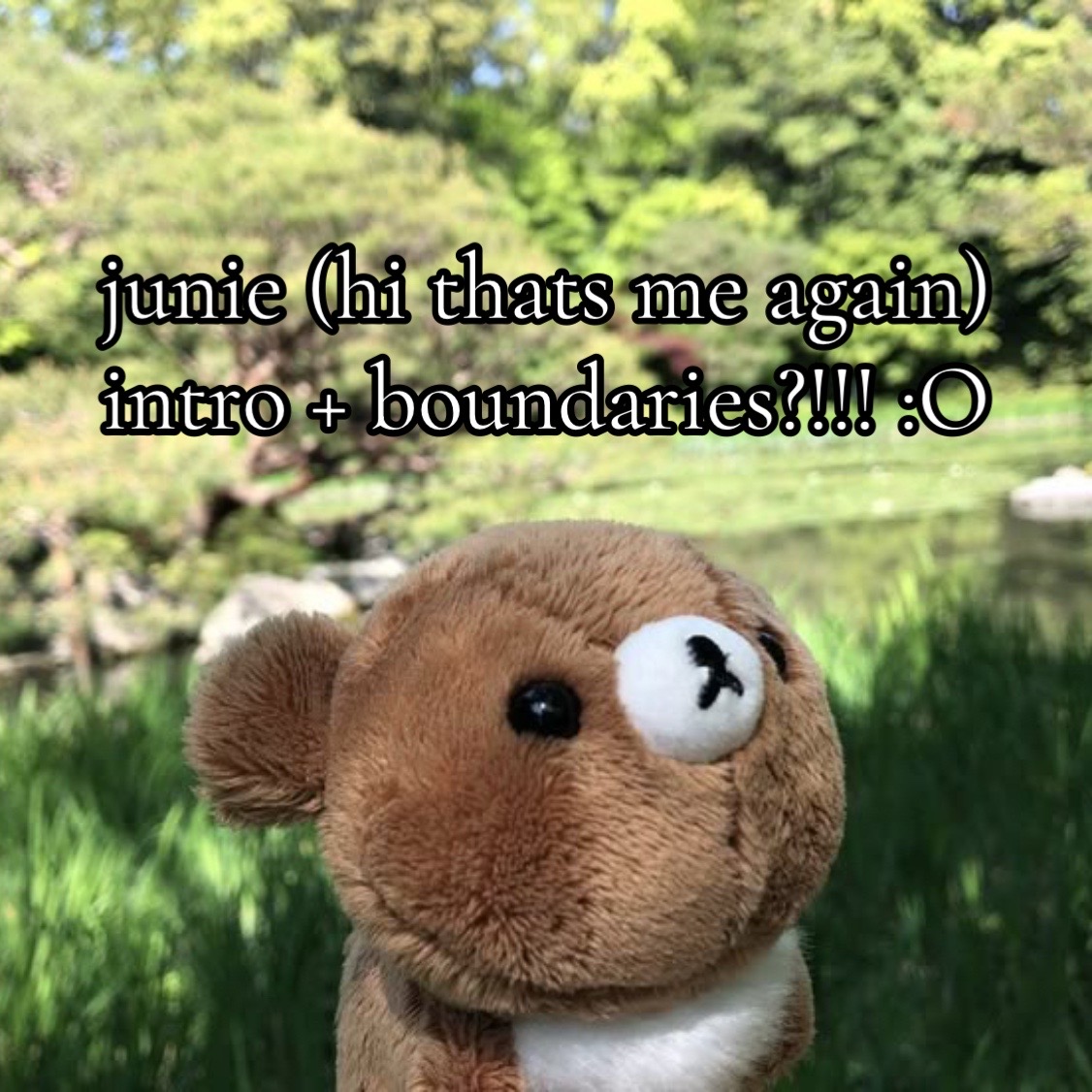 @⊹ ࣪ ˖  junie ʕ｡- ˕ -｡ʔ