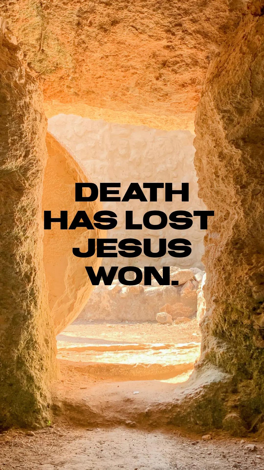 @Jesus the ark
