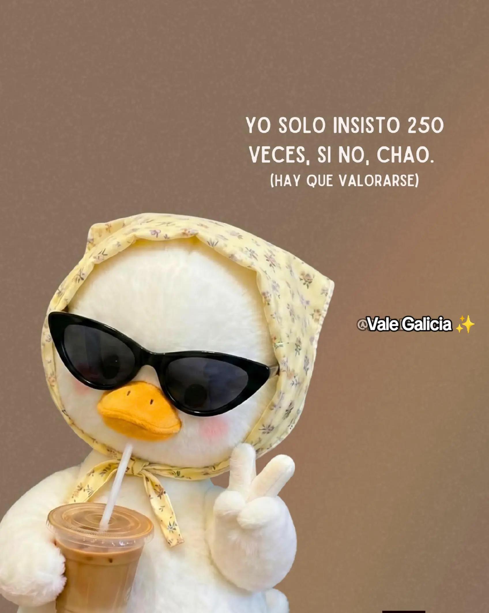 @Vale de Gales