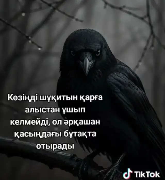 @Гүлмира🖤