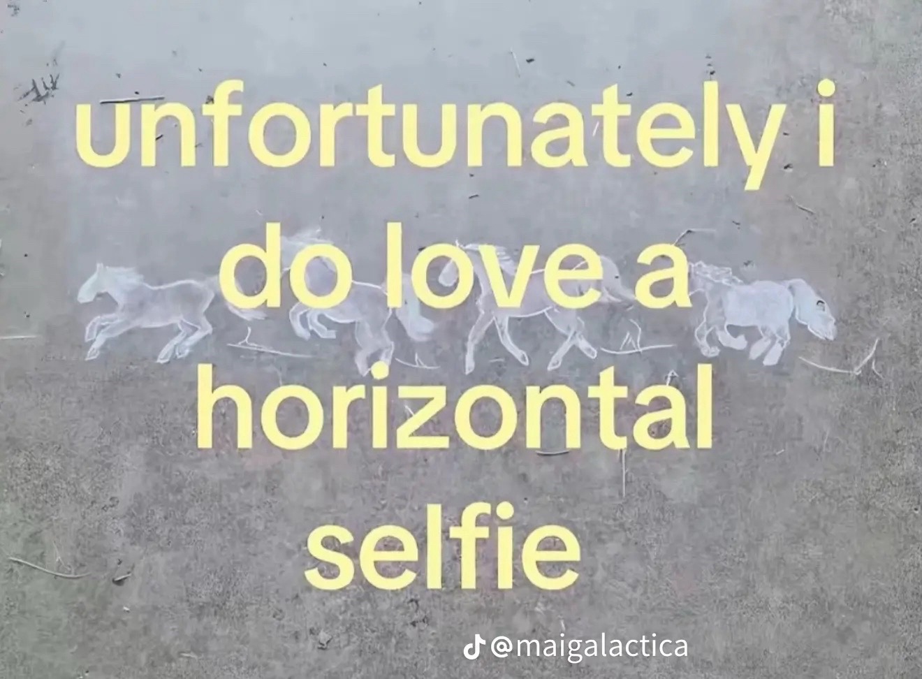 @ziona.mm