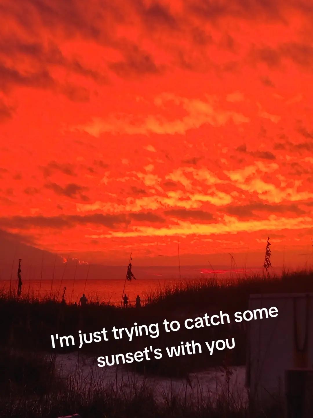 @Thatguyjustgotu