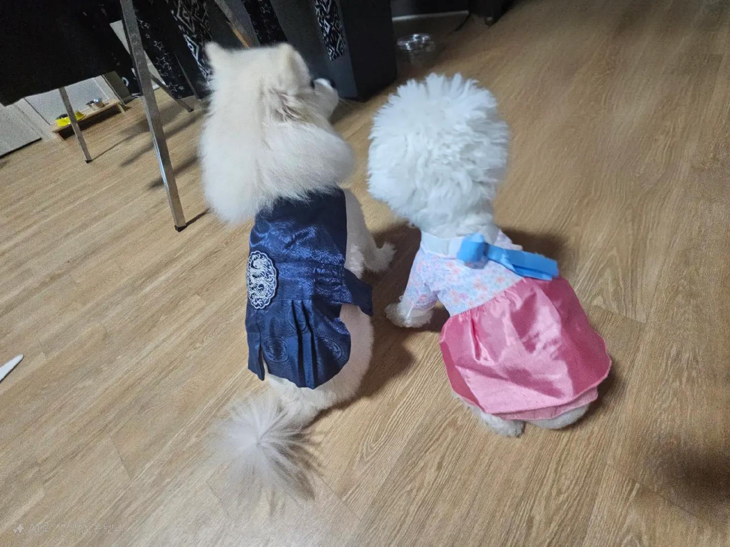@만두탱이