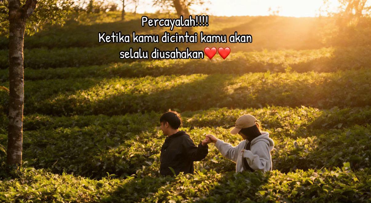 @nesa fiqi