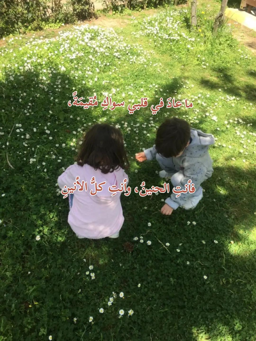 @Nidal Al-Badawi