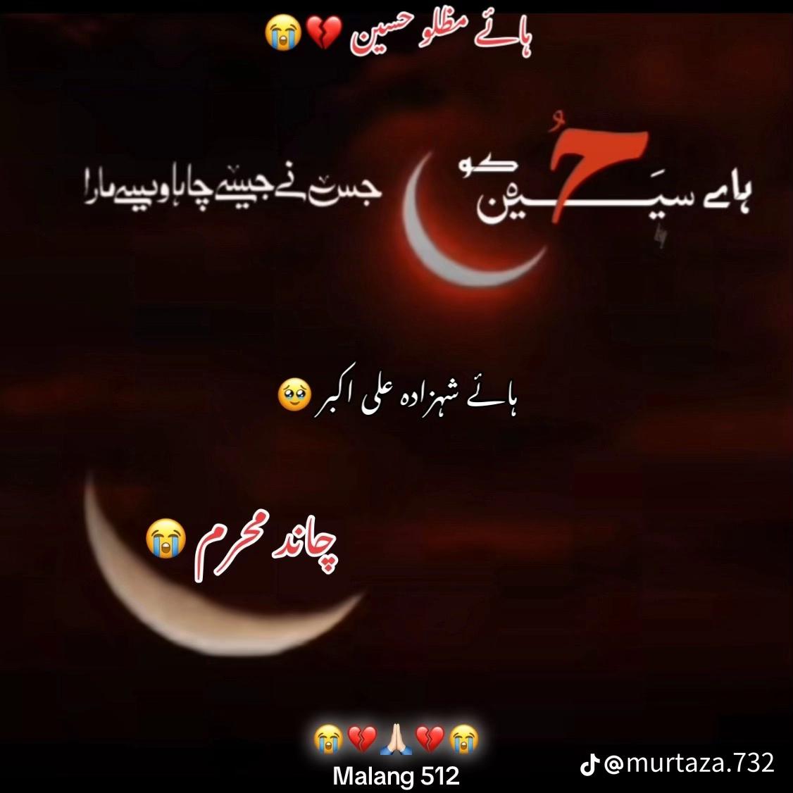 @Talha king 👑
