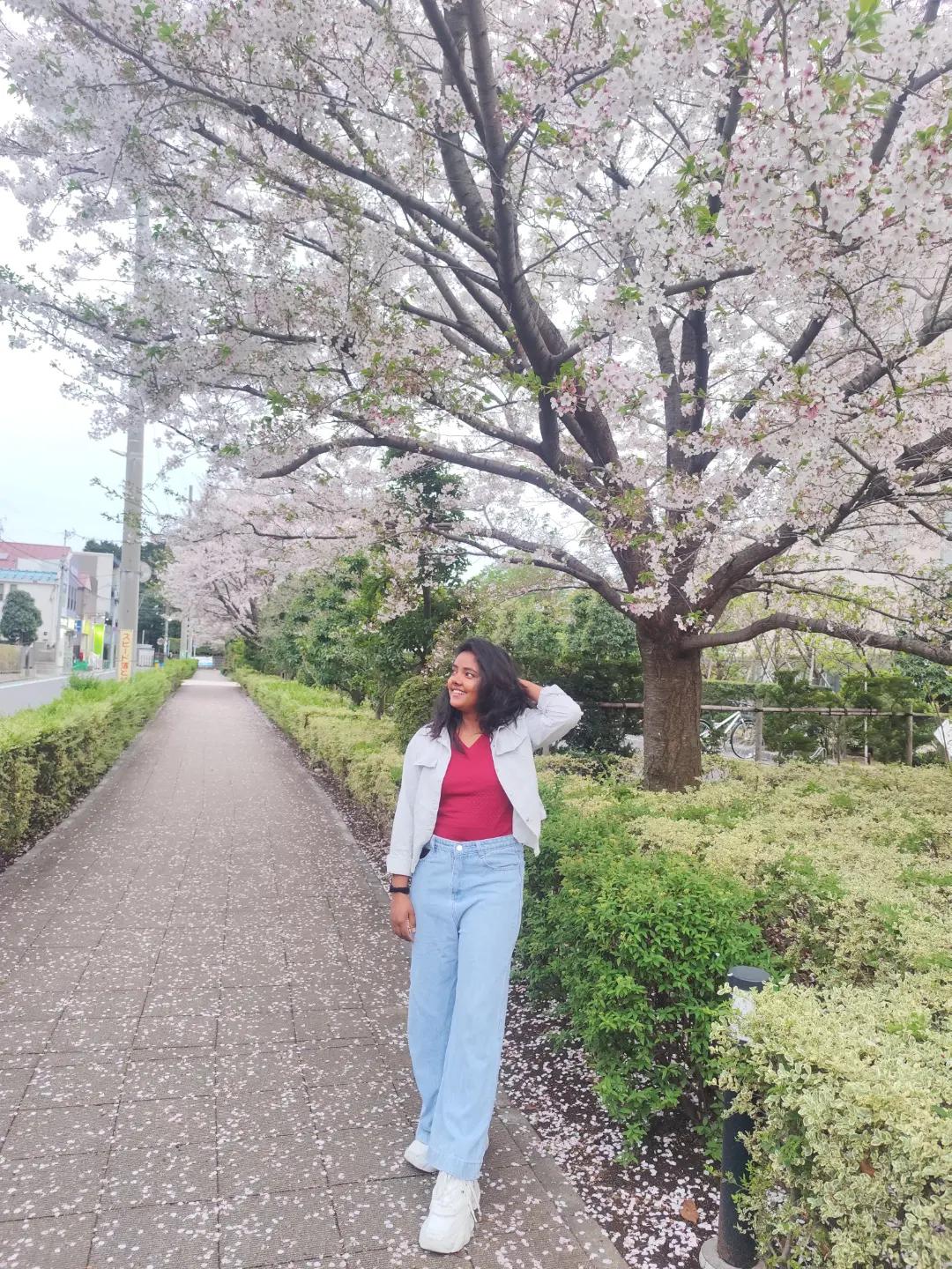 @Gitarjun💕