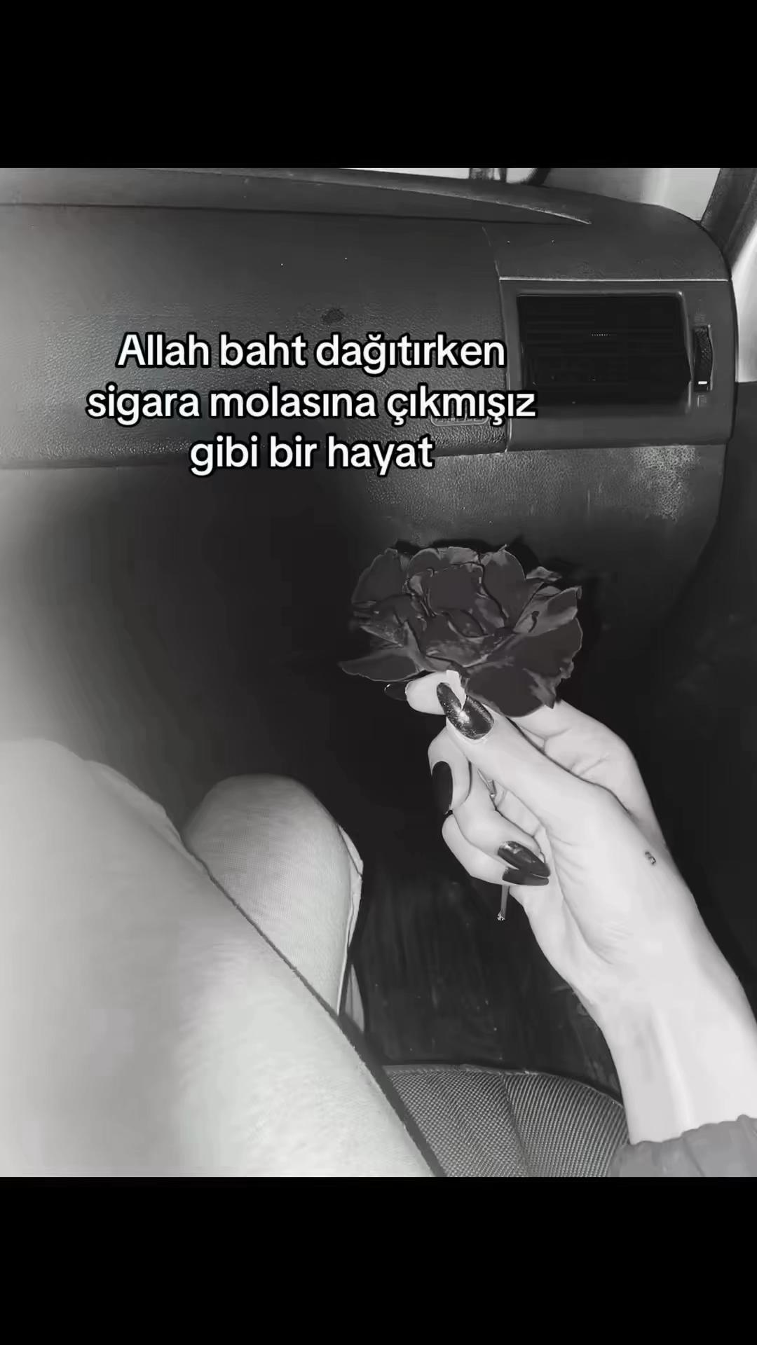 @𝓗𝓪𝓽𝓲𝓬𝓮🐆