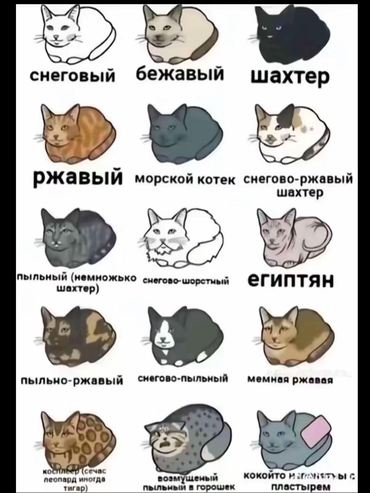 @#𝐚𝐜𝐡𝐨? ྀིྀིྀི𖣂