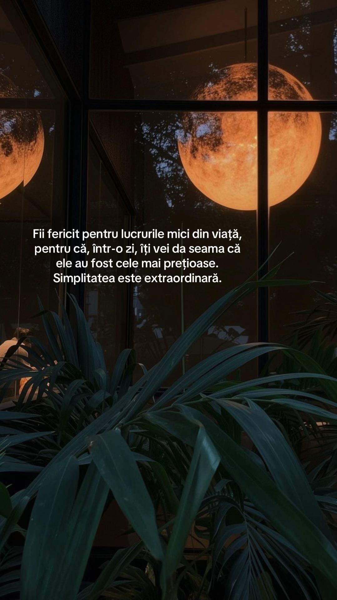 @MindVibes🤍