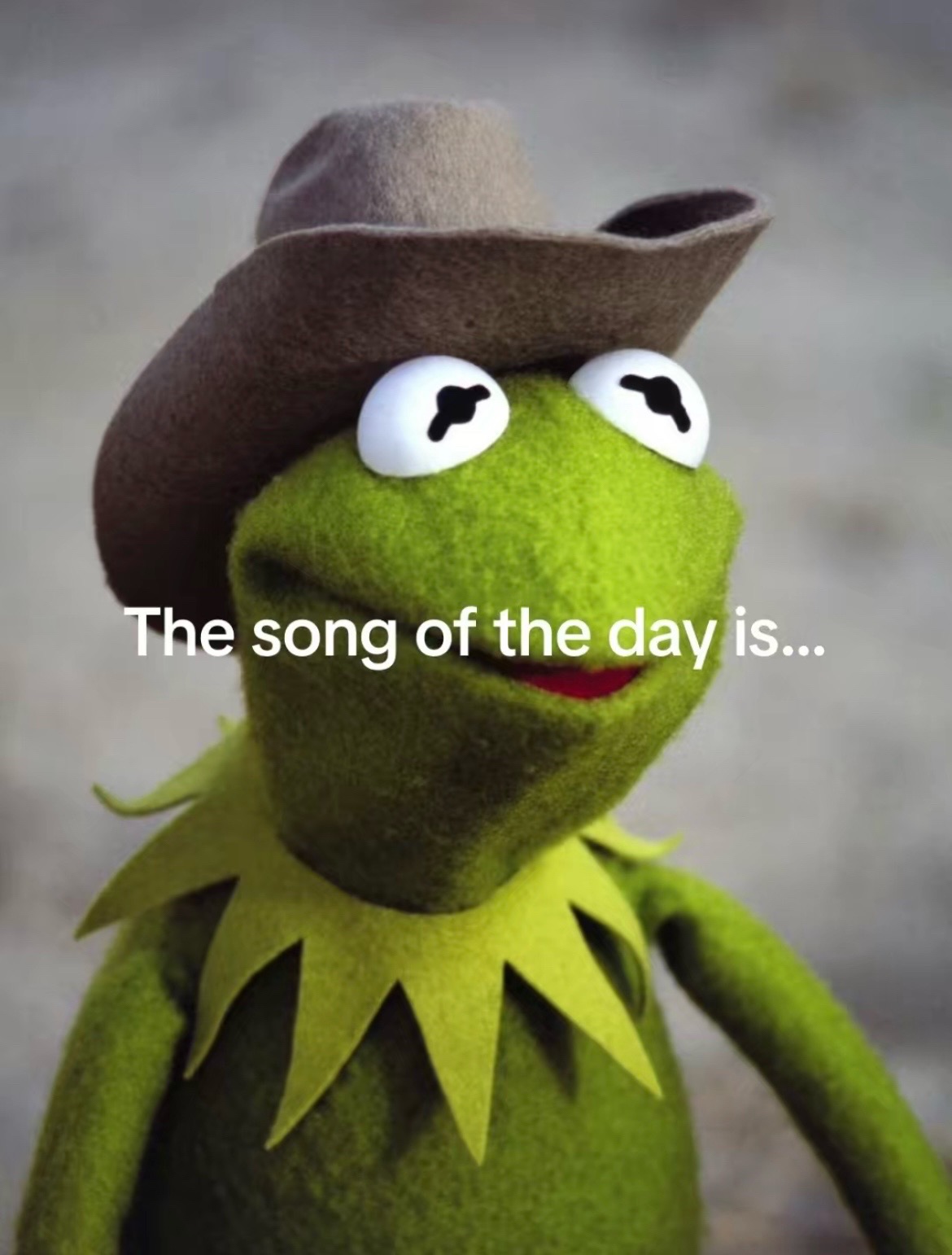 @CountryMusicEnjoyer🤠