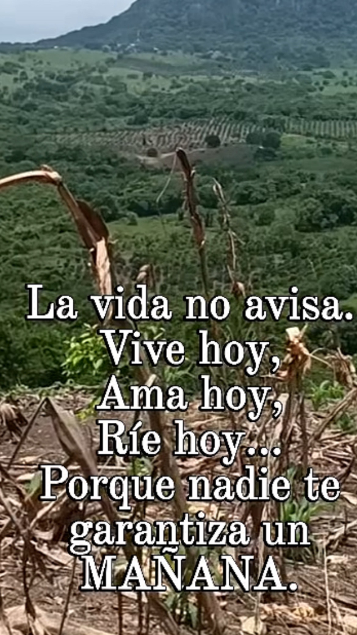 @Pedro Cruz