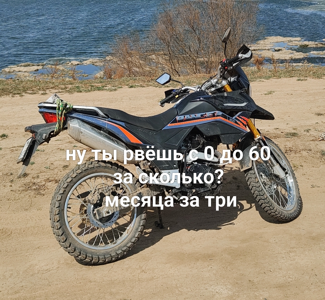 @Король