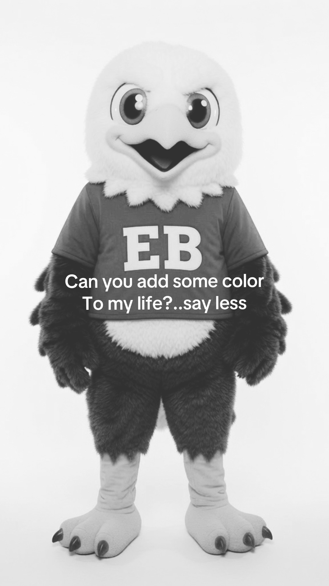 @Eagle Bounce