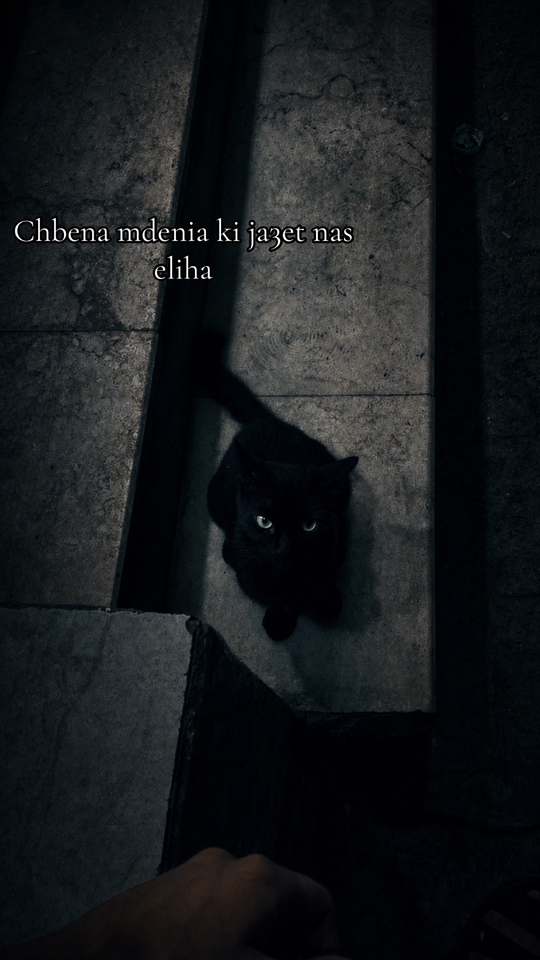 @ya_cinne