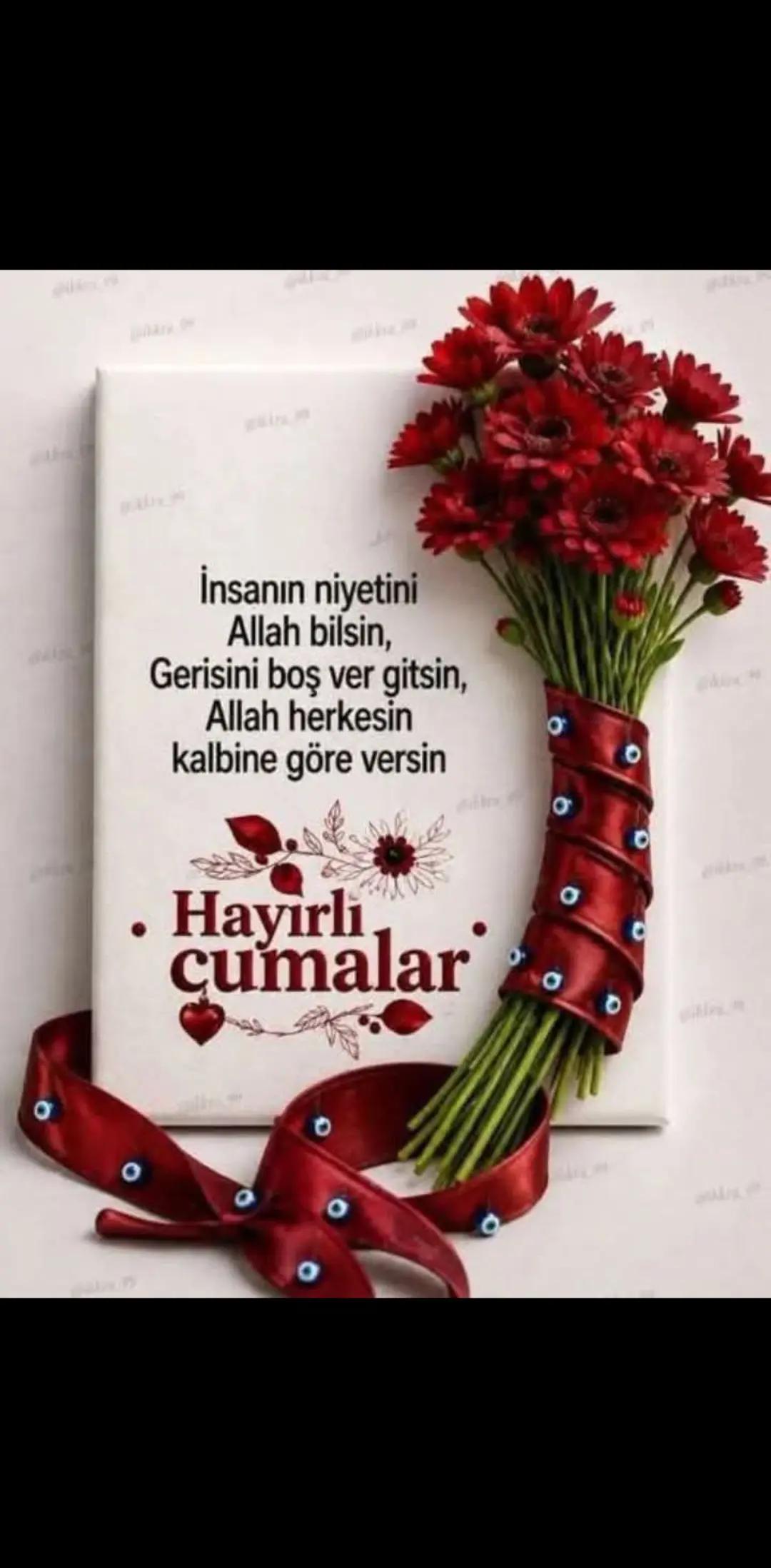 @serpil26