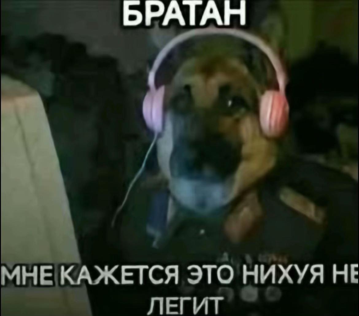 @spada_spb