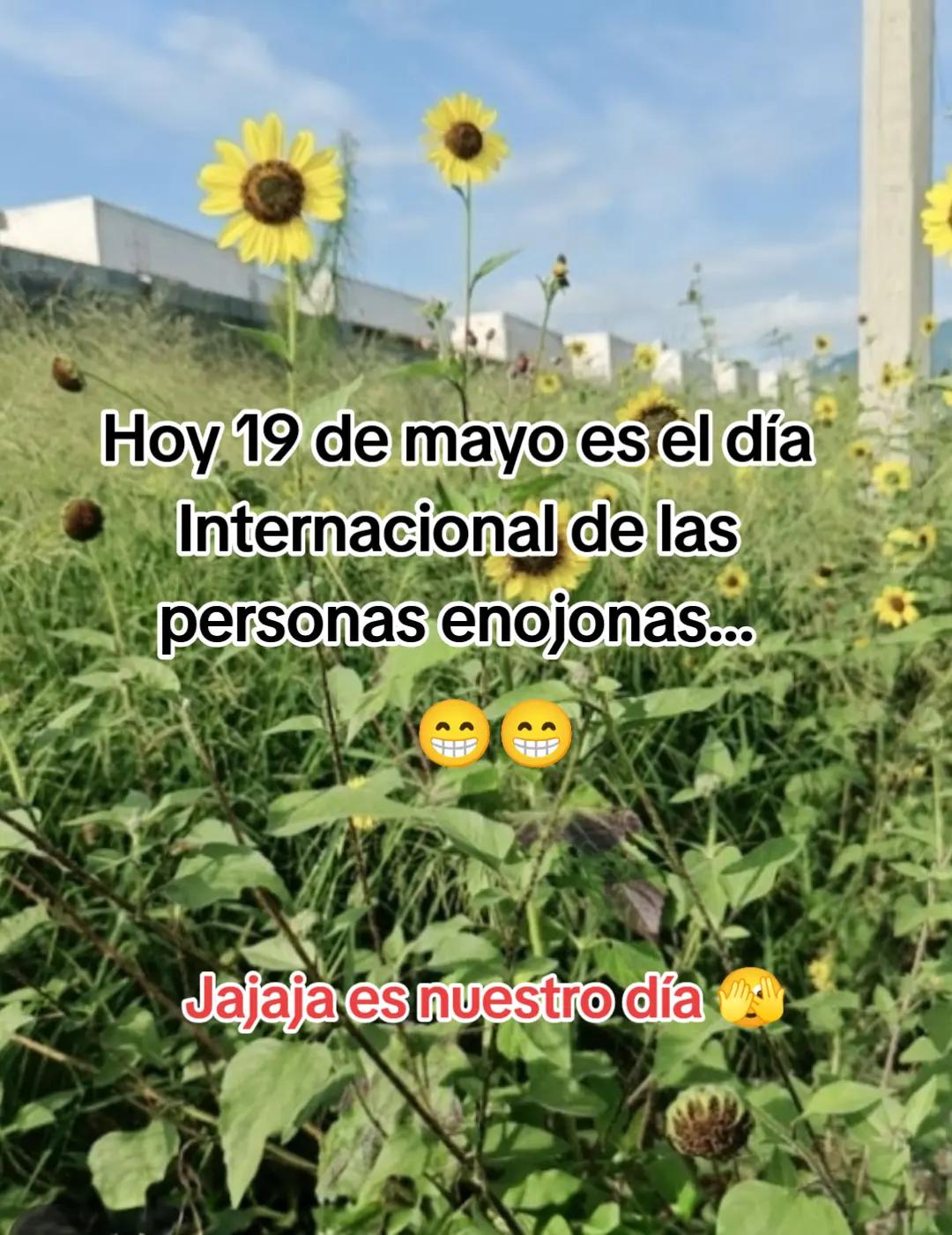 @╾━╤デ╦︻♉🅑🅔🅛🅛🅞🅣🅐🥀🪐👑