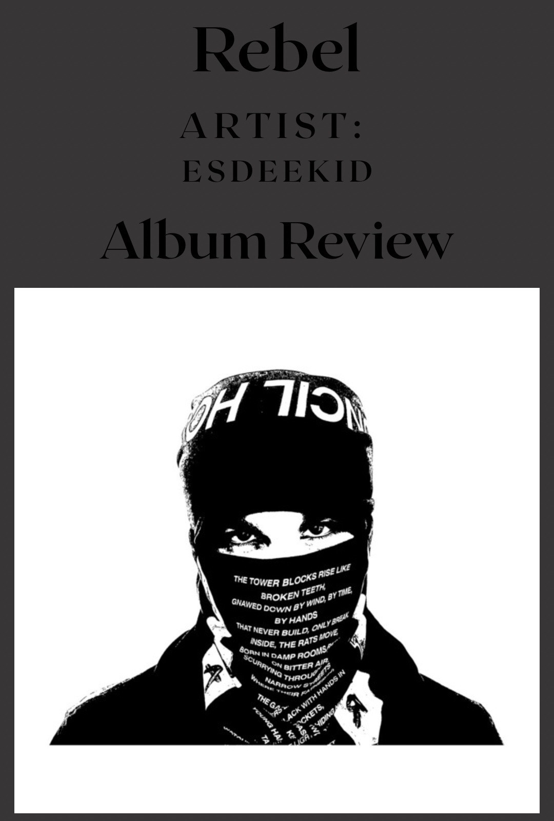 @gingermusicreviewer