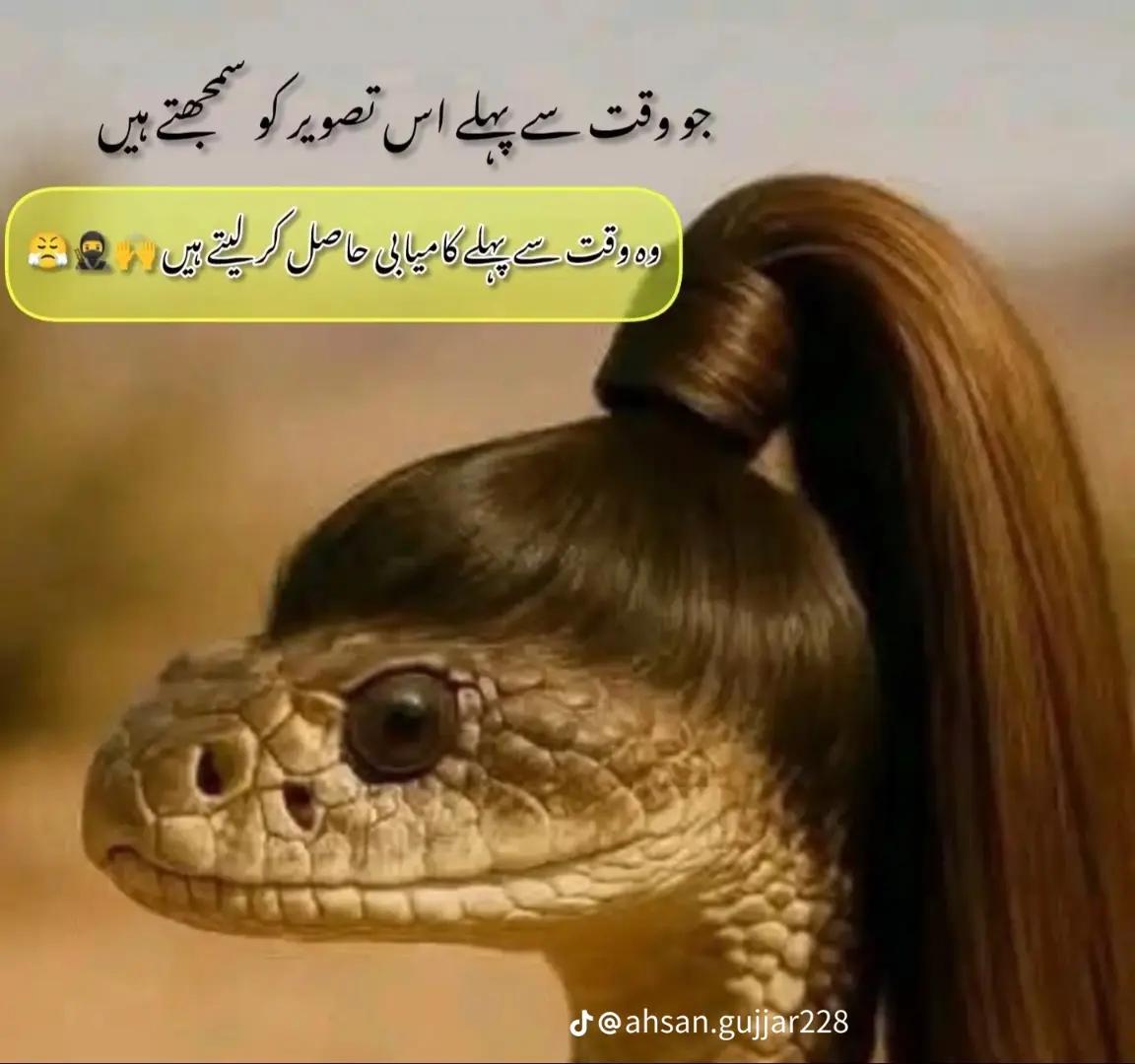 @Ramiz Bajjar 1