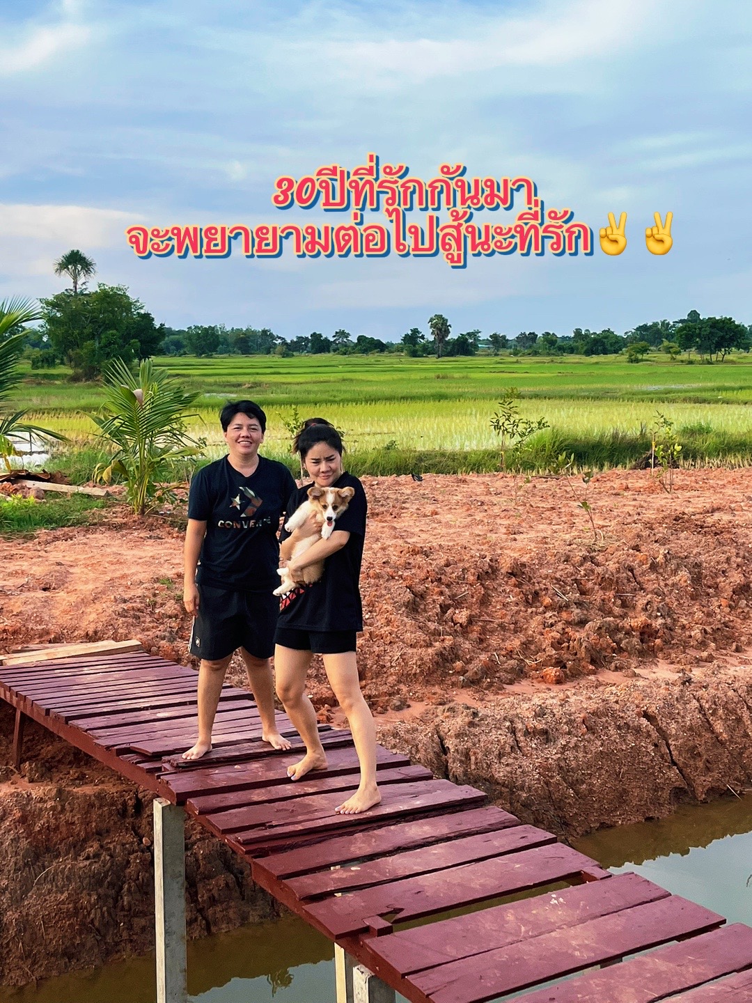 @แอนอรมาร์ทเก็ต