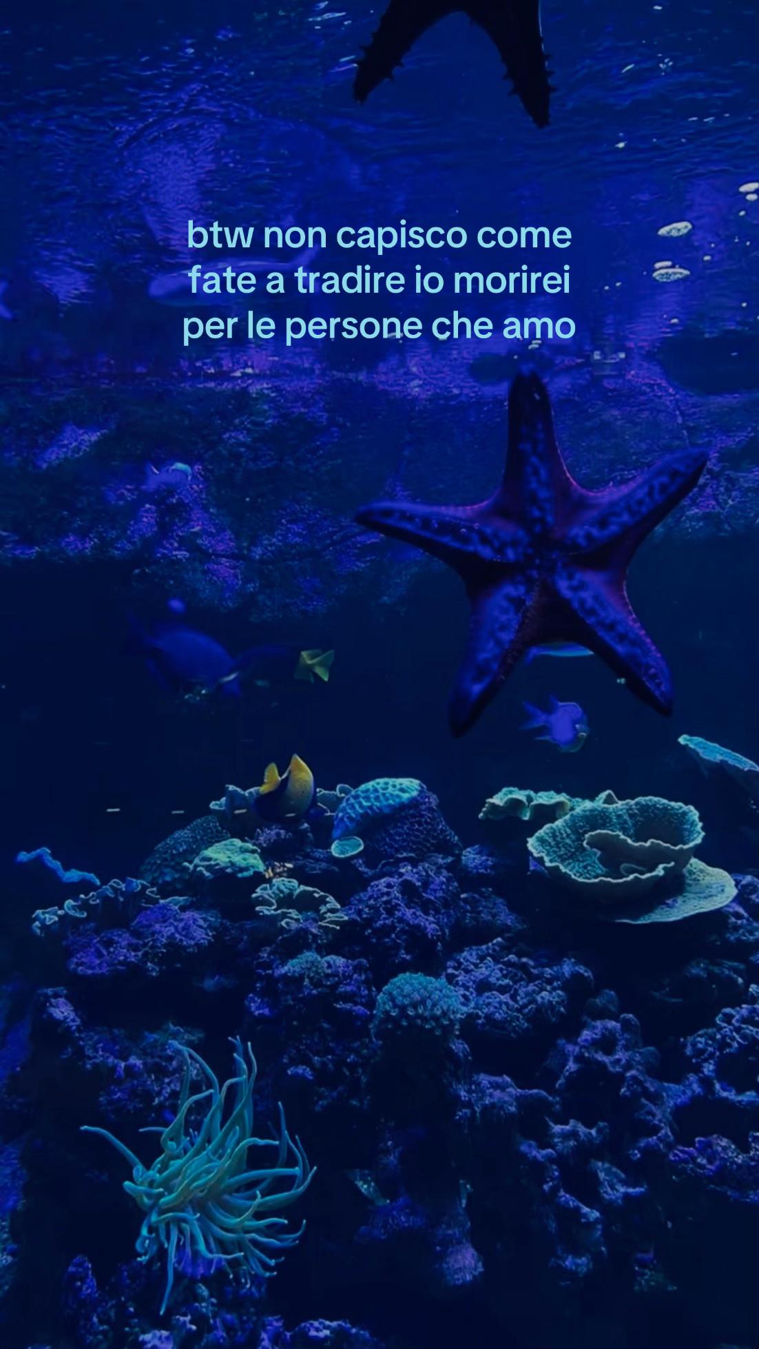 @𝓮𝓵𝓪