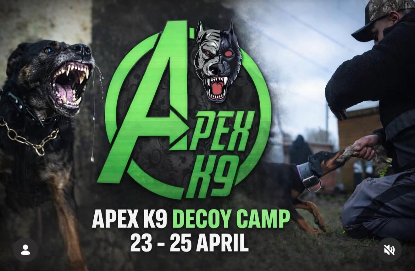 @Apex K9 Services Ltd