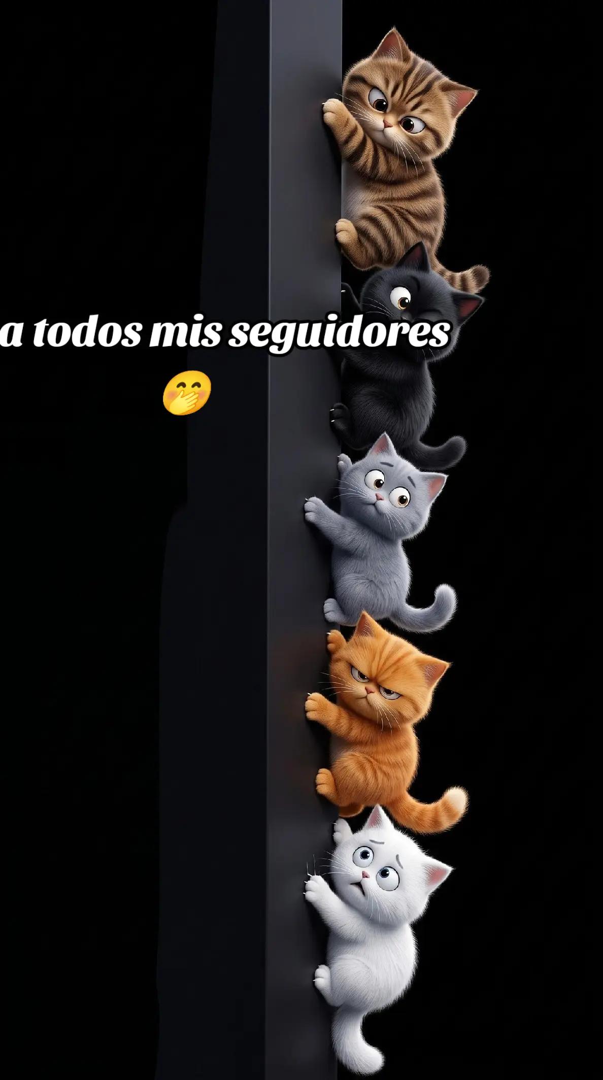 @Álvarez502🇬🇹🇺🇲
