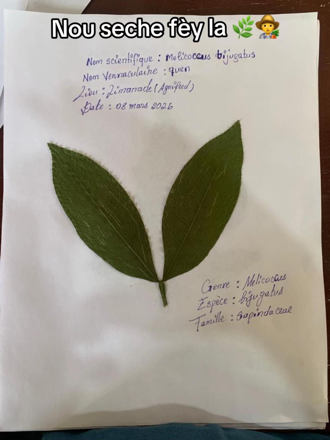 @Agro Registre🧑🌾🇭🇹