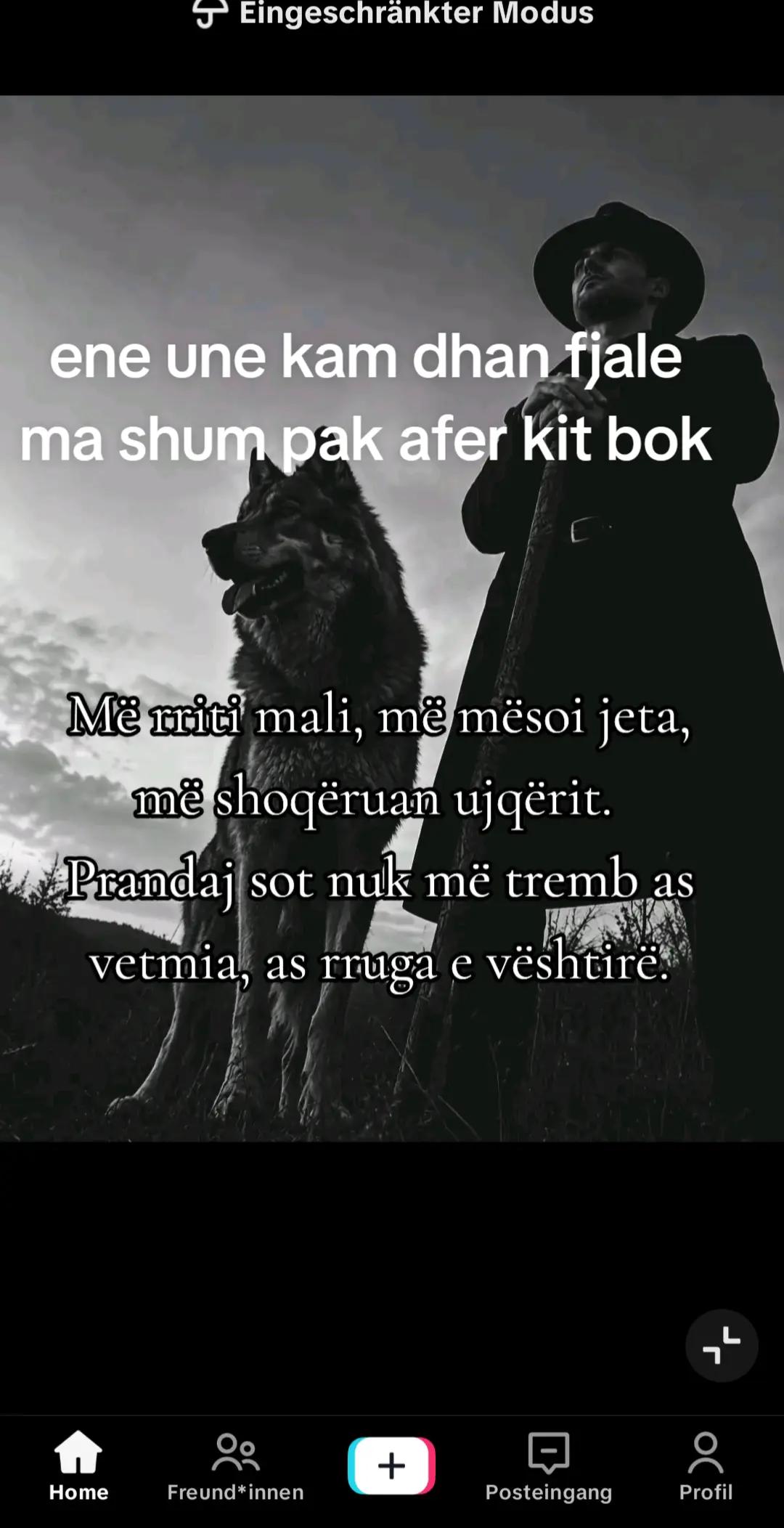 @gimi