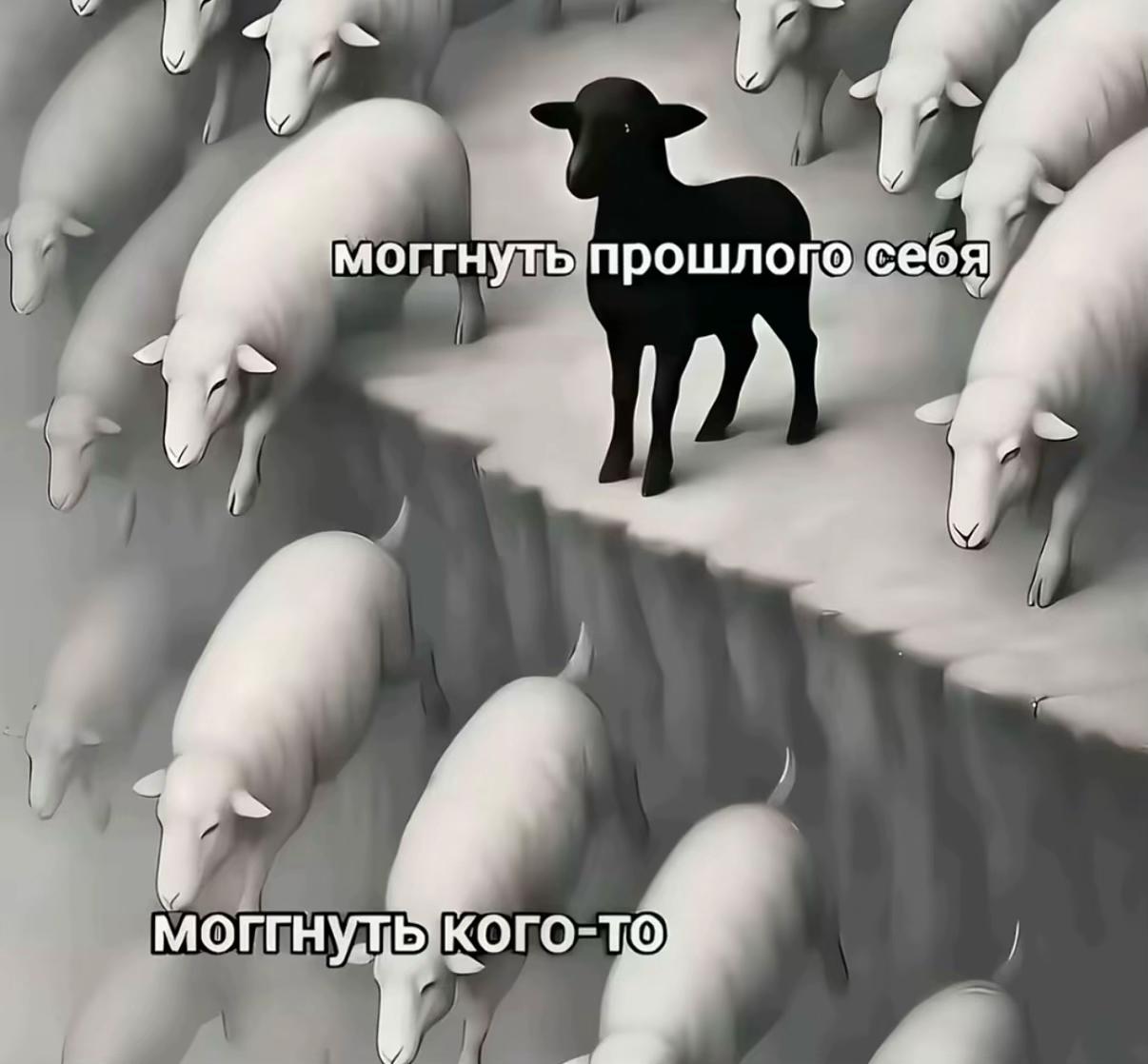 @blessedvampirez