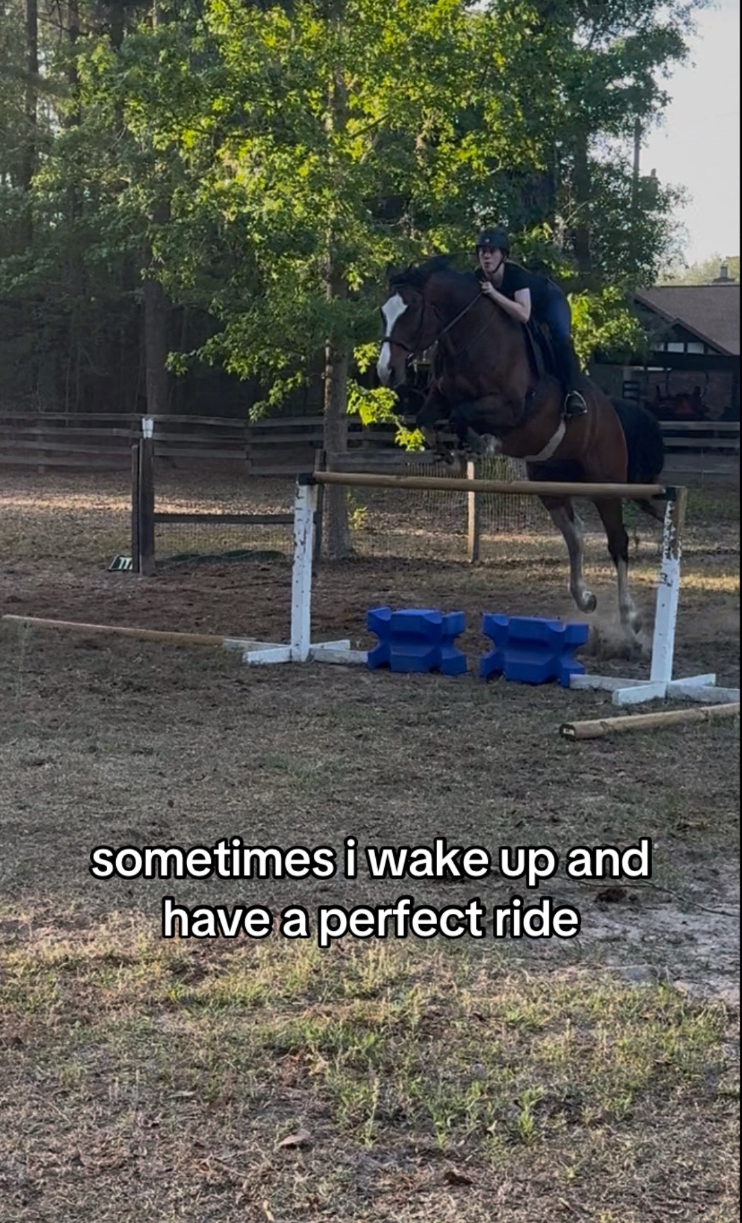 @.ktm.equestrian