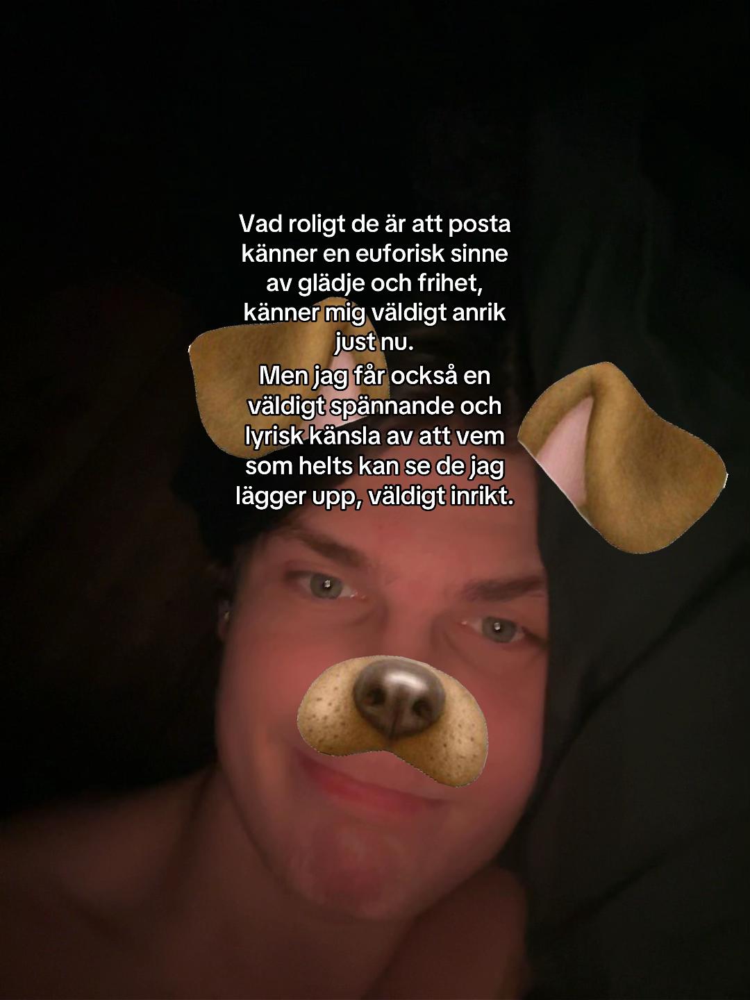 @HemligaHarry