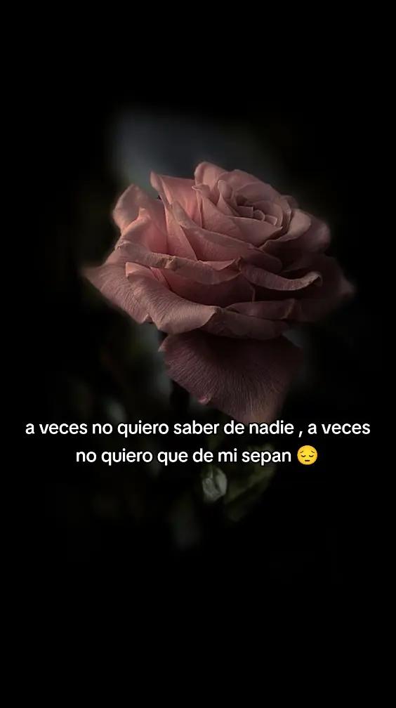 @adri💞💜💕