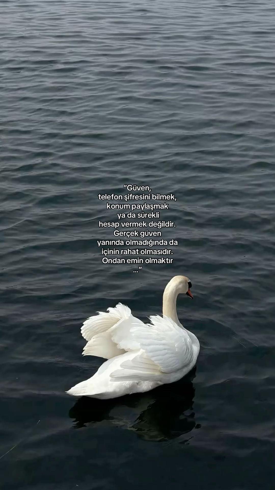 @𝓔𝓵𝓲𝓯