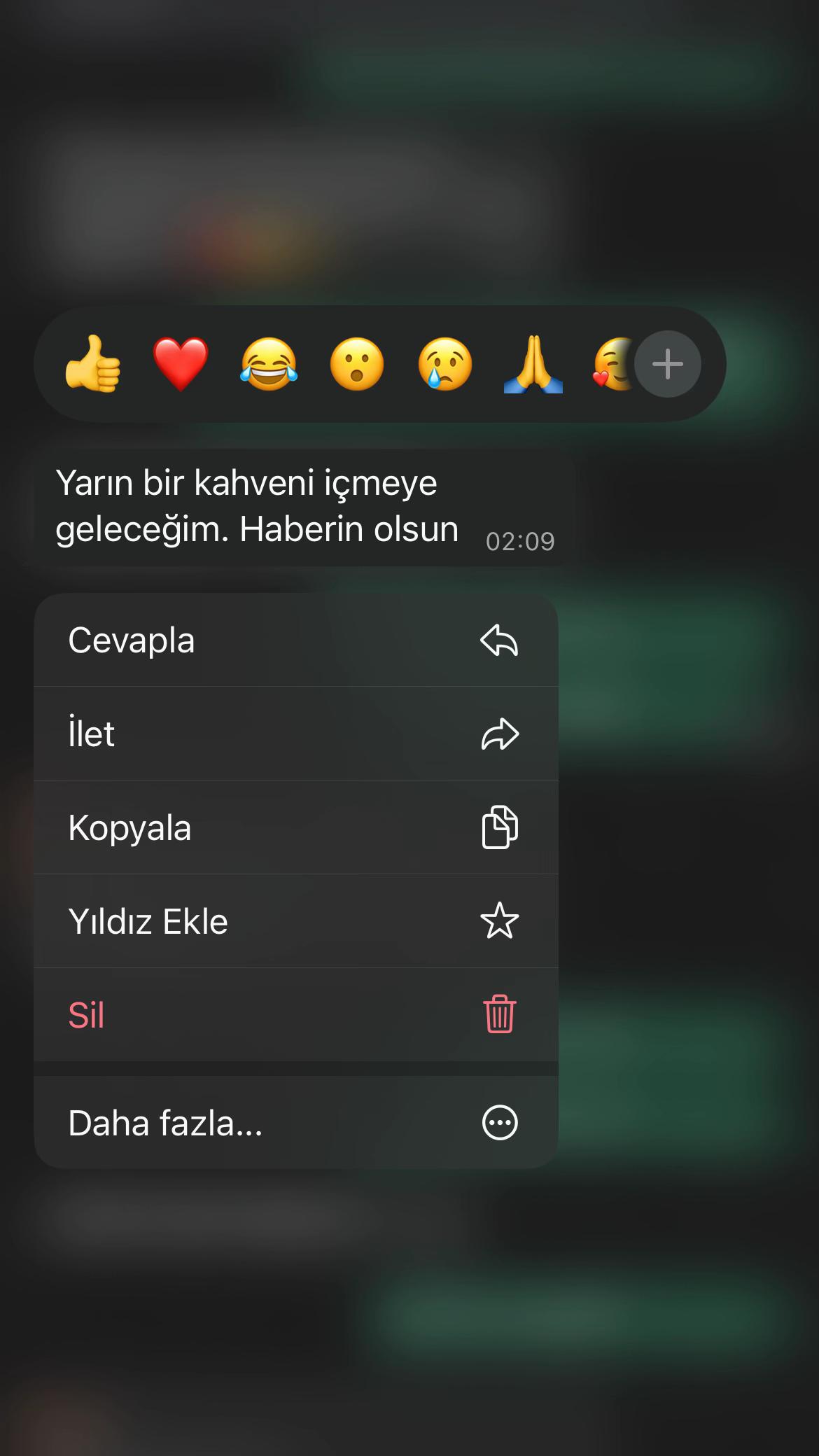@Nisa Kabakçı