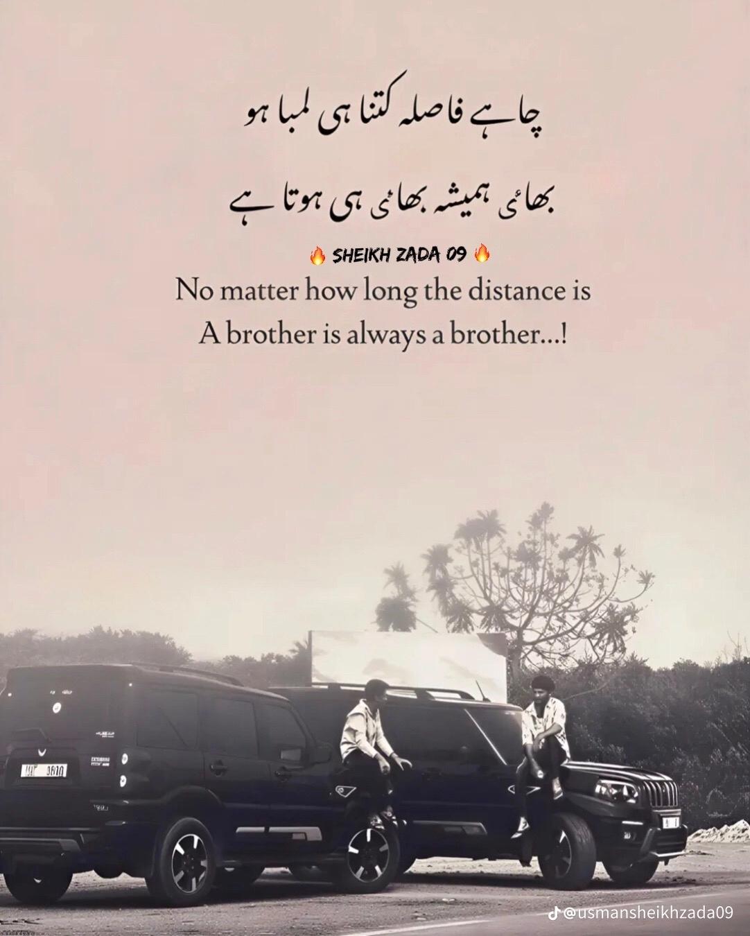 @sultanshaikh613