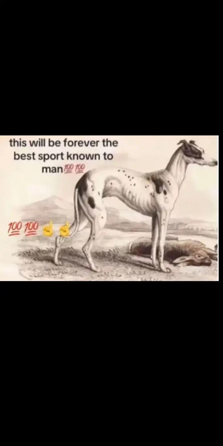 @blake jones