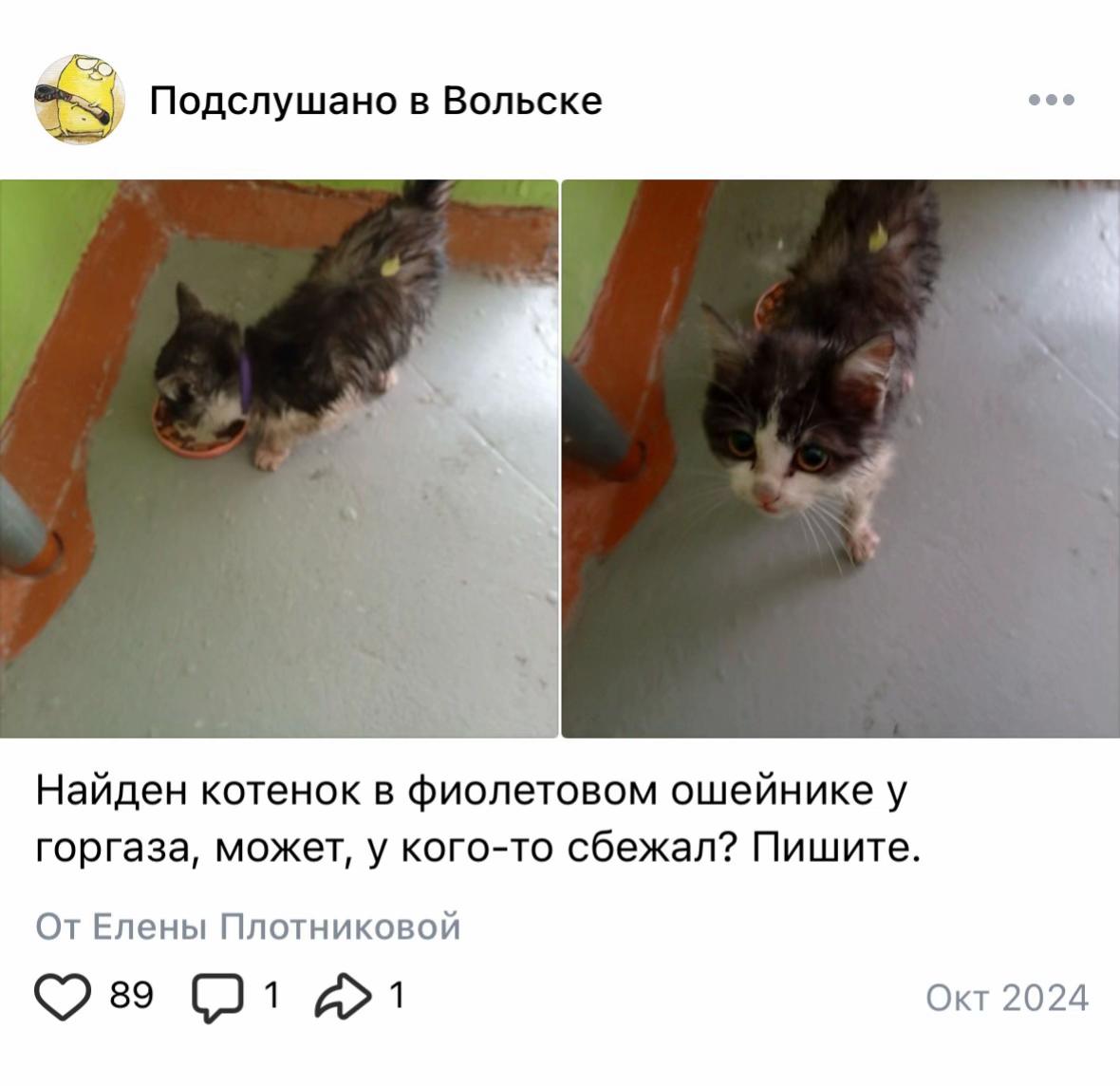 @алина в книжных вселенных