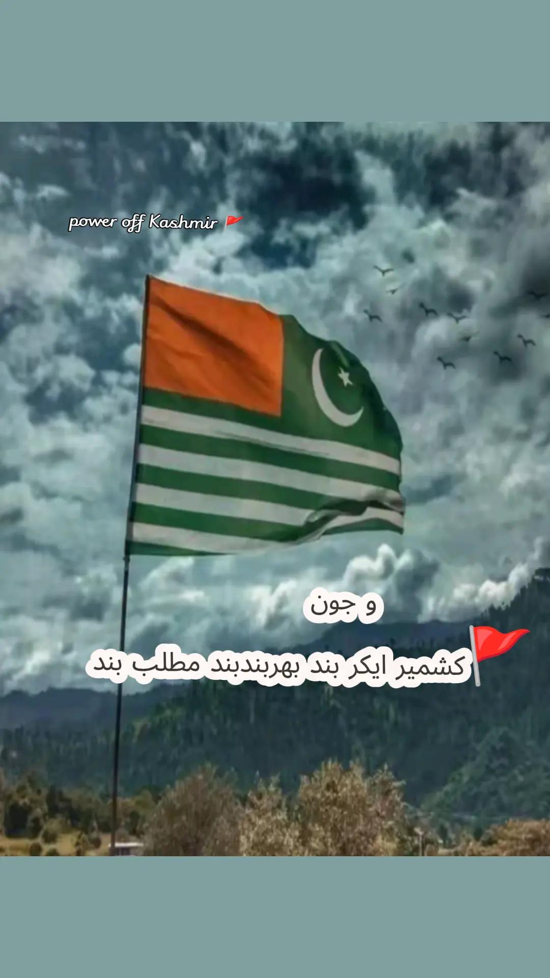 @حسنِین راجہ 🌴