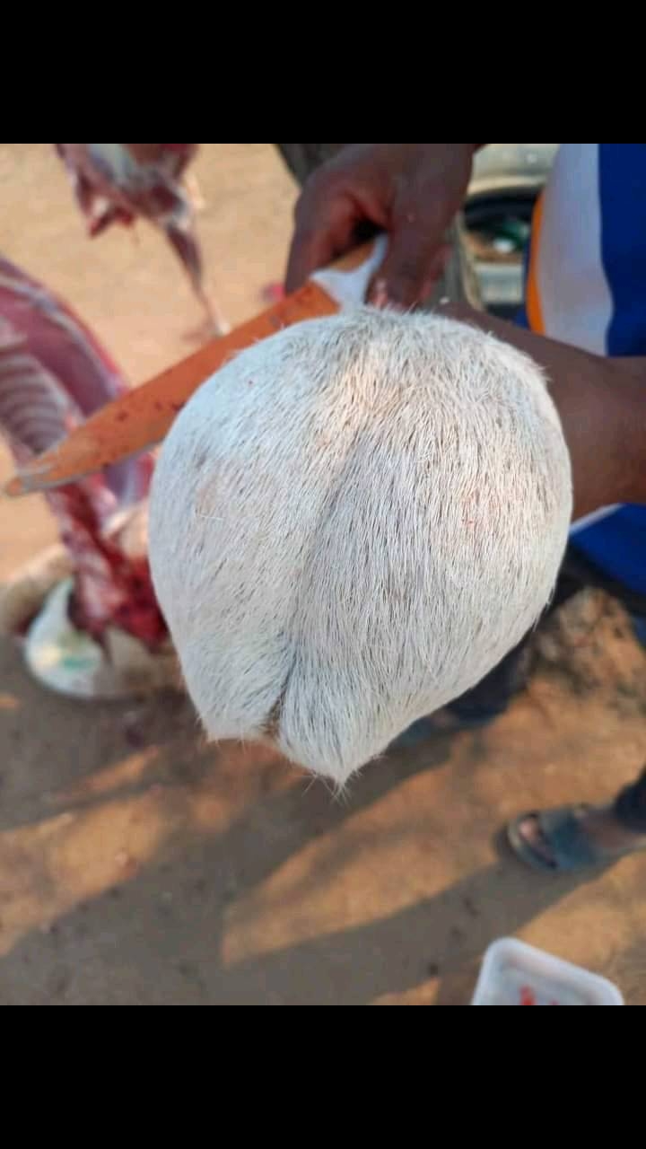 @tsholofelobmmopi
