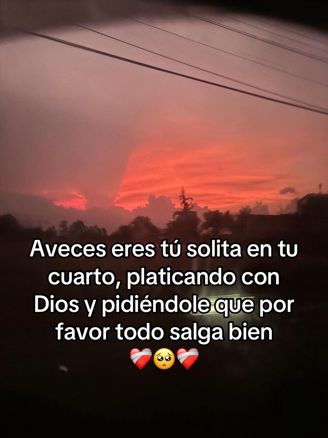 @🌻🎤🌻
